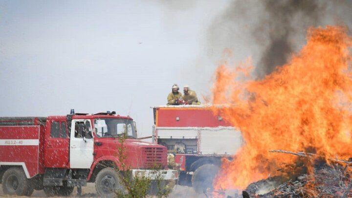Вспашку противопожарных минеральный полос сделают в Туркестанской области
