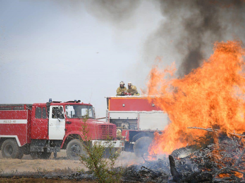 Вспашку противопожарных минеральный полос сделают в Туркестанской области