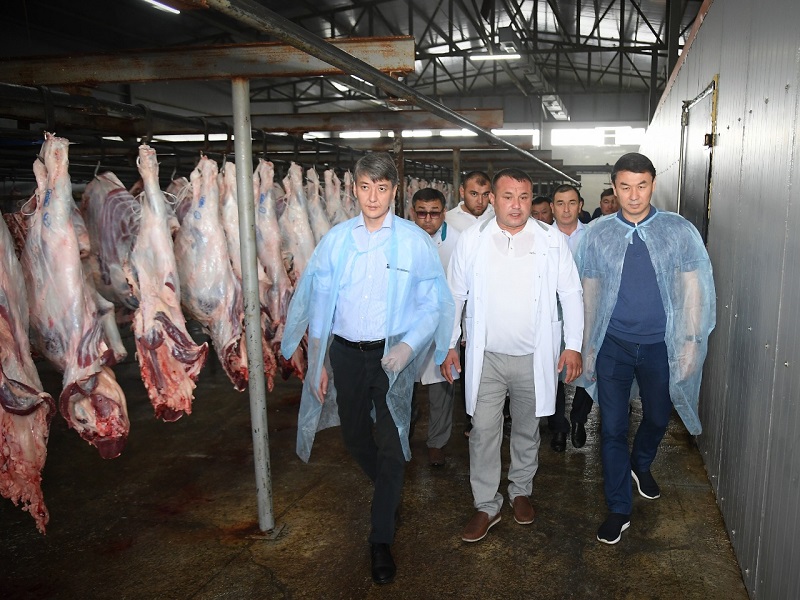 Корма для рыбы и птиц могут производить из отходов животноводства в Сайраме