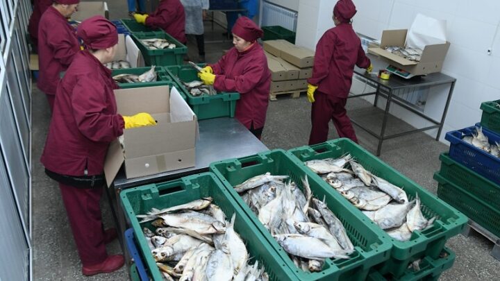 500 млн тенге выделено на рыбоводство в регионе в 2023 году