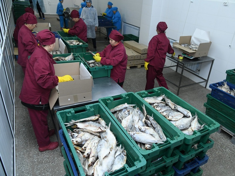 500 млн тенге выделено на рыбоводство в регионе в 2023 году