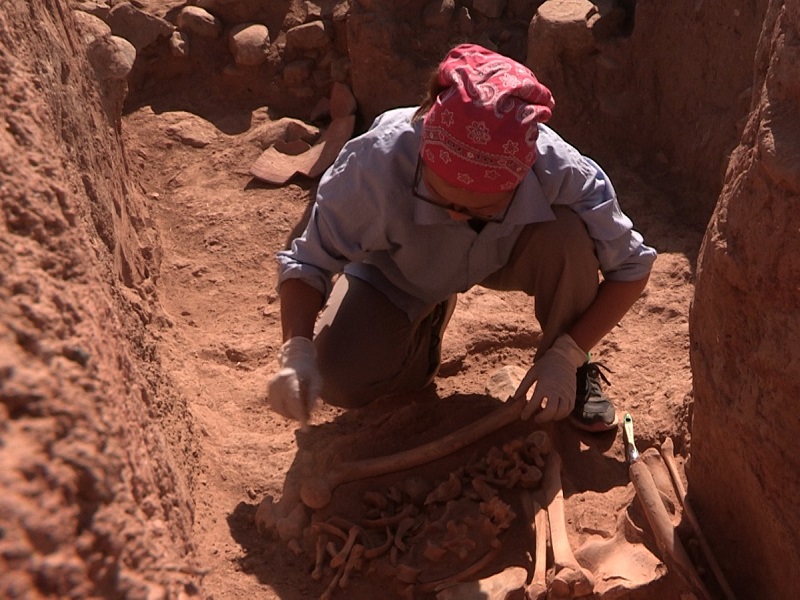 Часть перстня родом из древнего государства Кангюй нашли в Туркестанской области