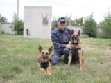 В Казахстане более 6 тонн наркотиков нашли полицейские собаки