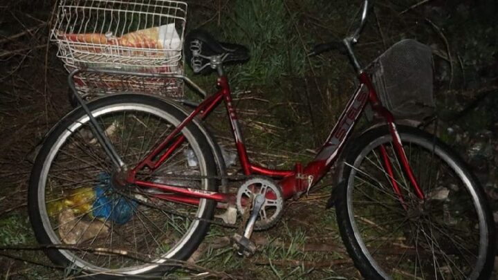 Полицейские вернули владельцу в Туркестанской области похищенный велосипед