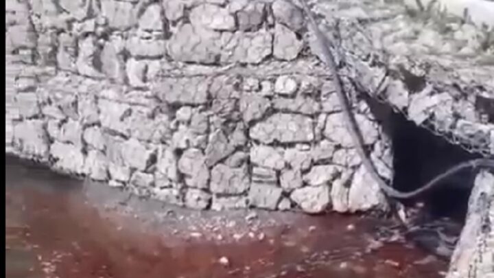 После экспертизы станет известно, почему покраснела вода в Кошкар-ате в Шымкенте