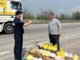 2300 нарушений в ходе ОПМ "Чистота" выявили в Туркестанской области