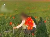 Многомиллионный штраф грозит жительнице области за срыв краснокнижных тюльпанов