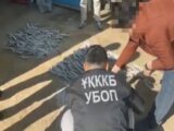 Группу браконьеров с участием иностранцев задержали в Туркестанской области