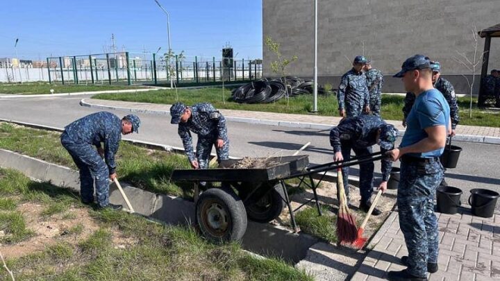 14 тысяч жителей ТО оштрафованы за мусор и повреждение мест общего пользования