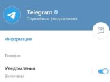 Житель Шымкента через Telegram пропагандировал терроризм