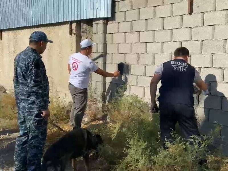 В Туркестанской области полицейские борются с наркограффити