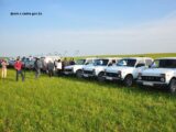В Туркестанской области против марокканской саранчи обработано 334,8 тыс. га земель