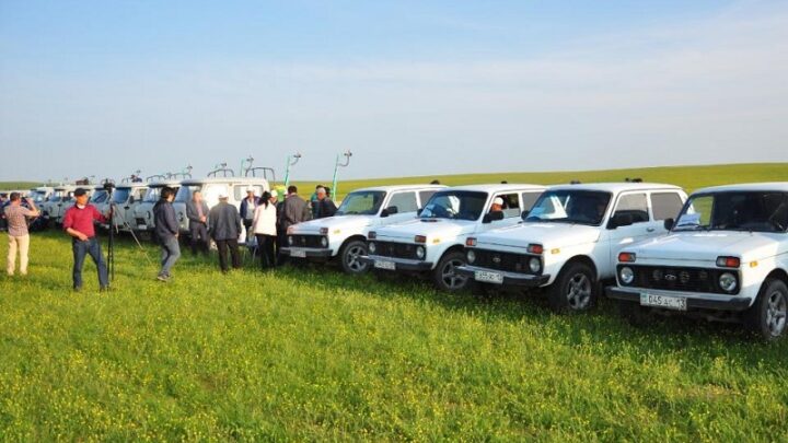 В Туркестанской области против марокканской саранчи обработано 334,8 тыс. га земель