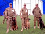 Служебные собаки Национальной гвардии отличились на международной выставке