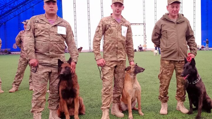 Служебные собаки Национальной гвардии отличились на международной выставке