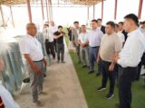 Индустриальные зоны в Сауранском районе созданы сразу в нескольких селах