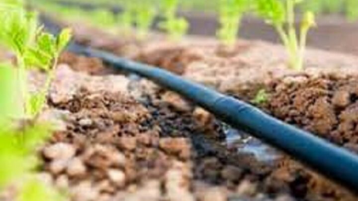 Аграриев призывают внедрять водосберегающие технологии в Туркестанской области