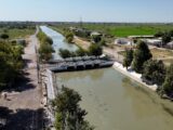 Более 74 тыс га посевных площадей получили воду в Жетысайском и Мактааральском районах