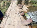 Незаконный сбор воды из Шардары выявили полицейские