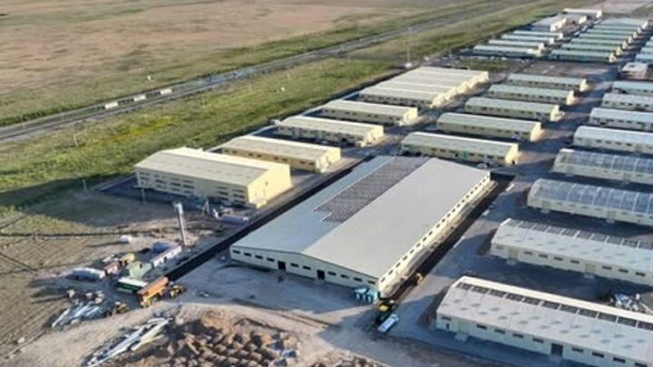 Дроны для сельского хозяйства выпускают в Туркестанской области