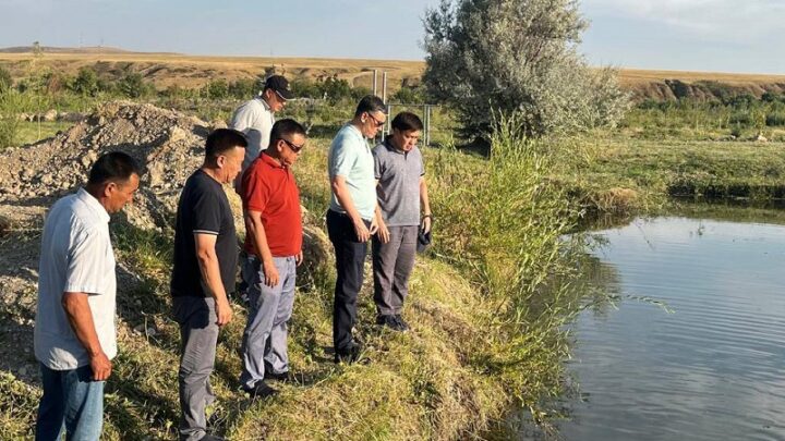 Рыбалку для туристов создает предприниматель в Тюлькубасском районе