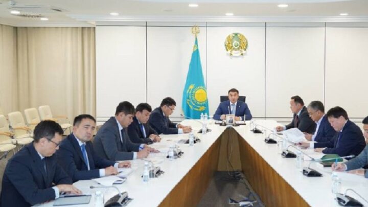 Новые производственные мощности запустят в Туркестанской области