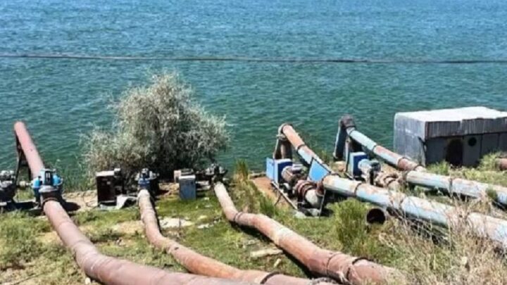Более трех млрд кубометров составил водозабор на орошение в Туркестанской области