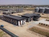 Кукурузоперерабатывающий завод запустят в Шардаре