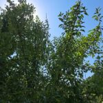 Погодные катаклизмы и меры предосторожности
