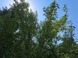 Погодные катаклизмы и меры предосторожности