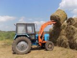 100% составила заготовка кормов в Шымкенте