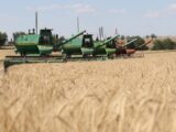 Сбор урожая завершен в Шымкенте