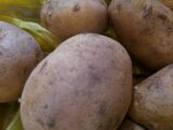 900 тыс картофеля собрано в Казахстане