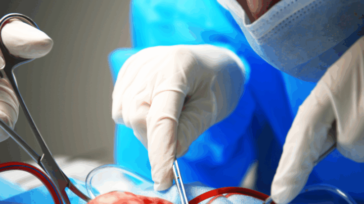 Врачи Алматы провели сложную трансплантацию, подарив надежду пациенту