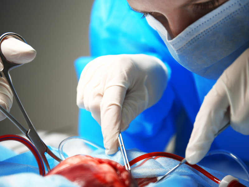 Врачи Алматы провели сложную трансплантацию, подарив надежду пациенту