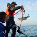 В Казахстане "Костанайский осетр"станет доступной рыбной продукцией