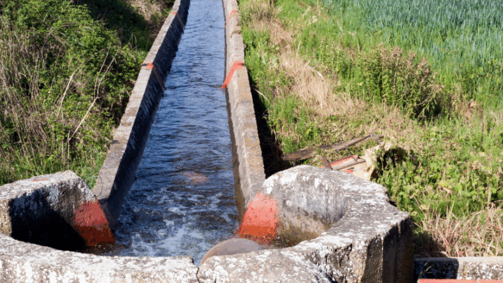 В Туркестанской области стартовали водные проекты для устойчивого будущего