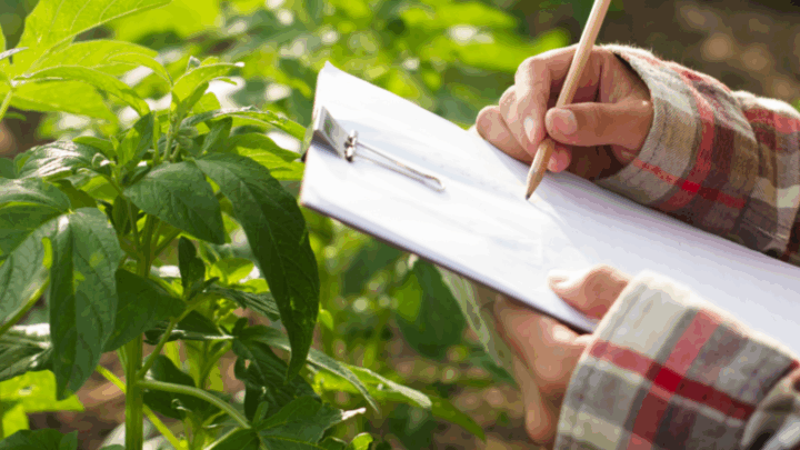 В Казахстане рост валовой продукции сельского хозяйства на 5,4%