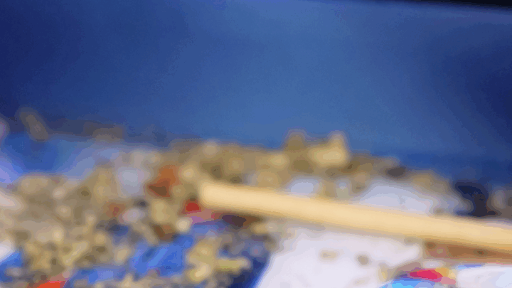 Служебная собака обнаружила гашиш в авто в столице