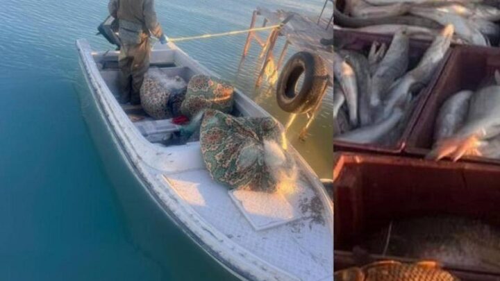 Браконьеры с крупным уловом задержаны на озере Балхаш
