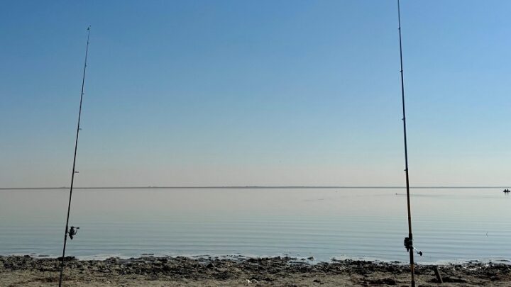 Рыба уходит, сети и браконьеры остаются. Репортаж с берега Коксарая