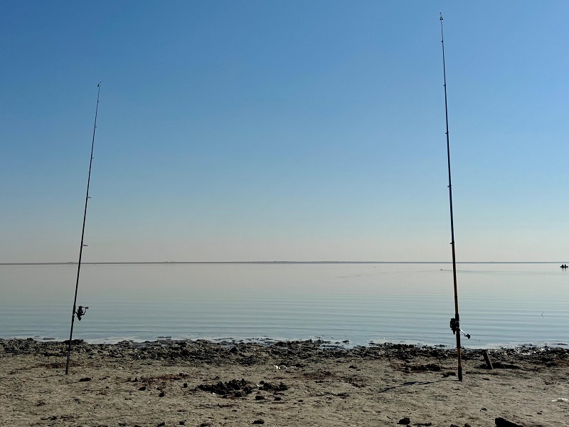 Рыба уходит, сети и браконьеры остаются. Репортаж с берега Коксарая