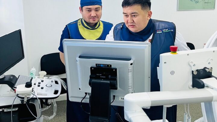 Шымкентские врачи спасли почку пациента, удалив гигантский камень