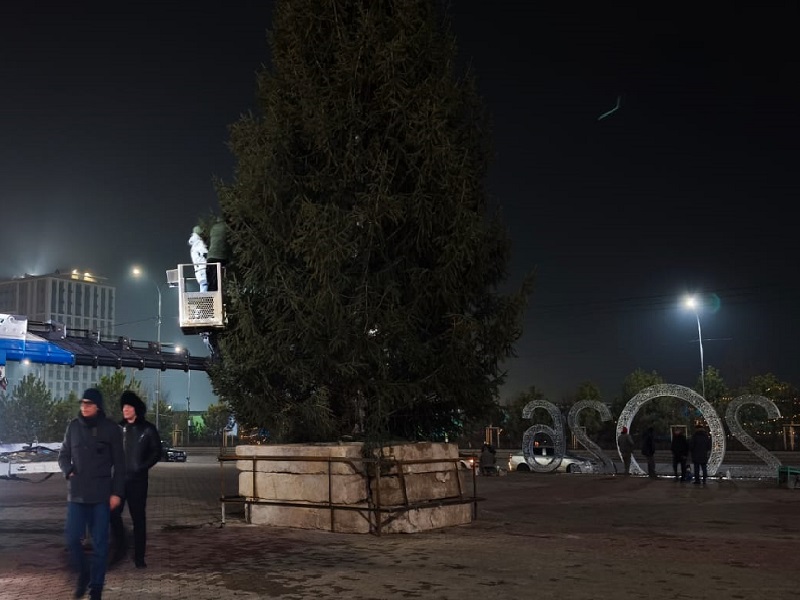 Главная новогодняя елка Шымкента будет живой и цельной