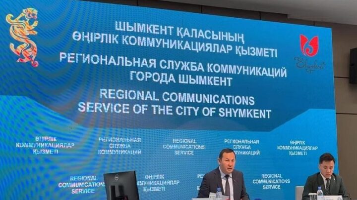 Новогодняя елка Шымкента после праздников будет пересажена