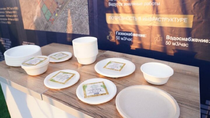 Одноразовую биоразлагающуюся посуду будут выпускать в Туркестане