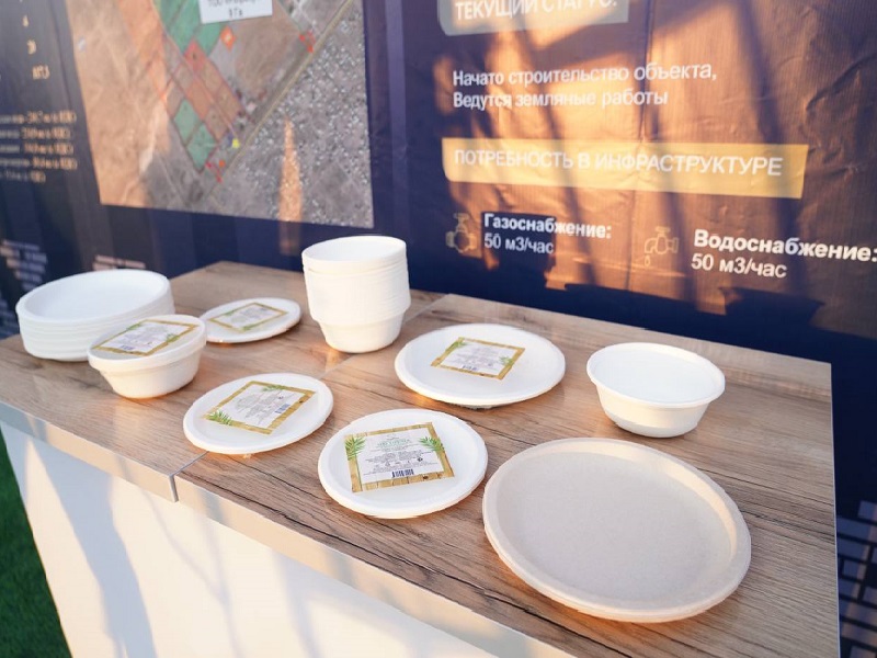 Одноразовую биоразлагающуюся посуду будут выпускать в Туркестане