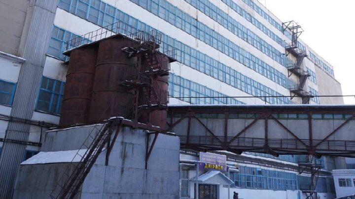 Завод по переработке пшеницы запущен в Туркестанской области