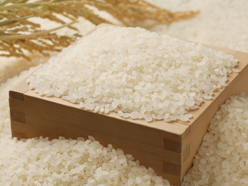 Цех по переработке риса запустили в Туркестанской области