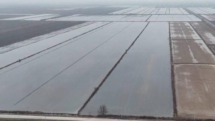На 100 тыс гектарах промывают почву в Туркестанской области